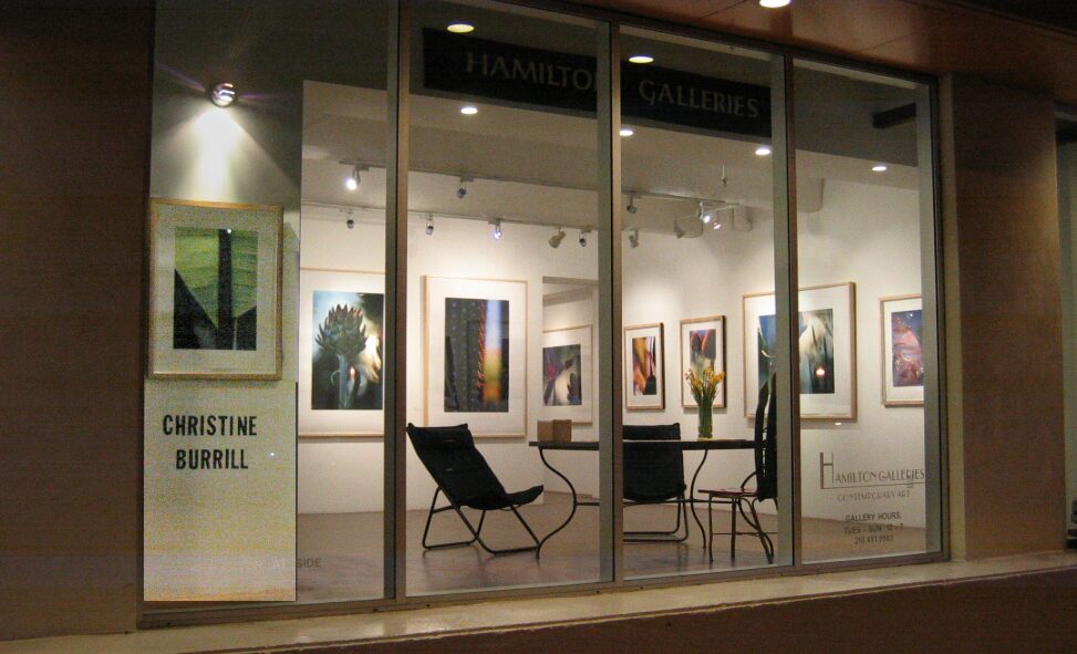 Hamilton Galleries storefront at night with Christine Burrill exhibition
