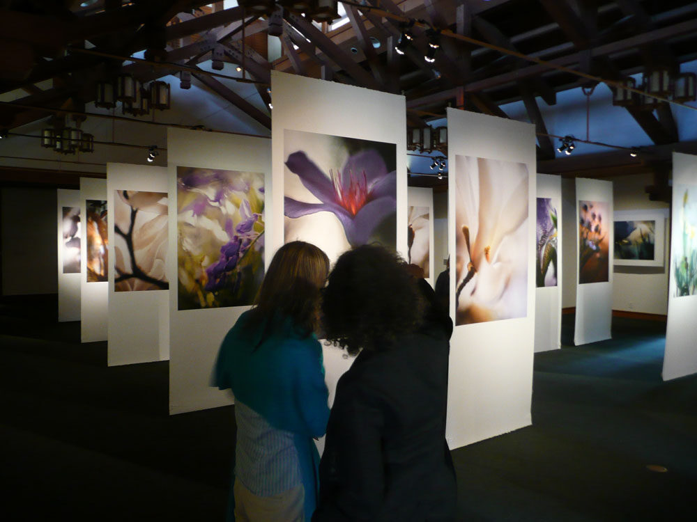 Large-format flower photographs displayed on hanging panels