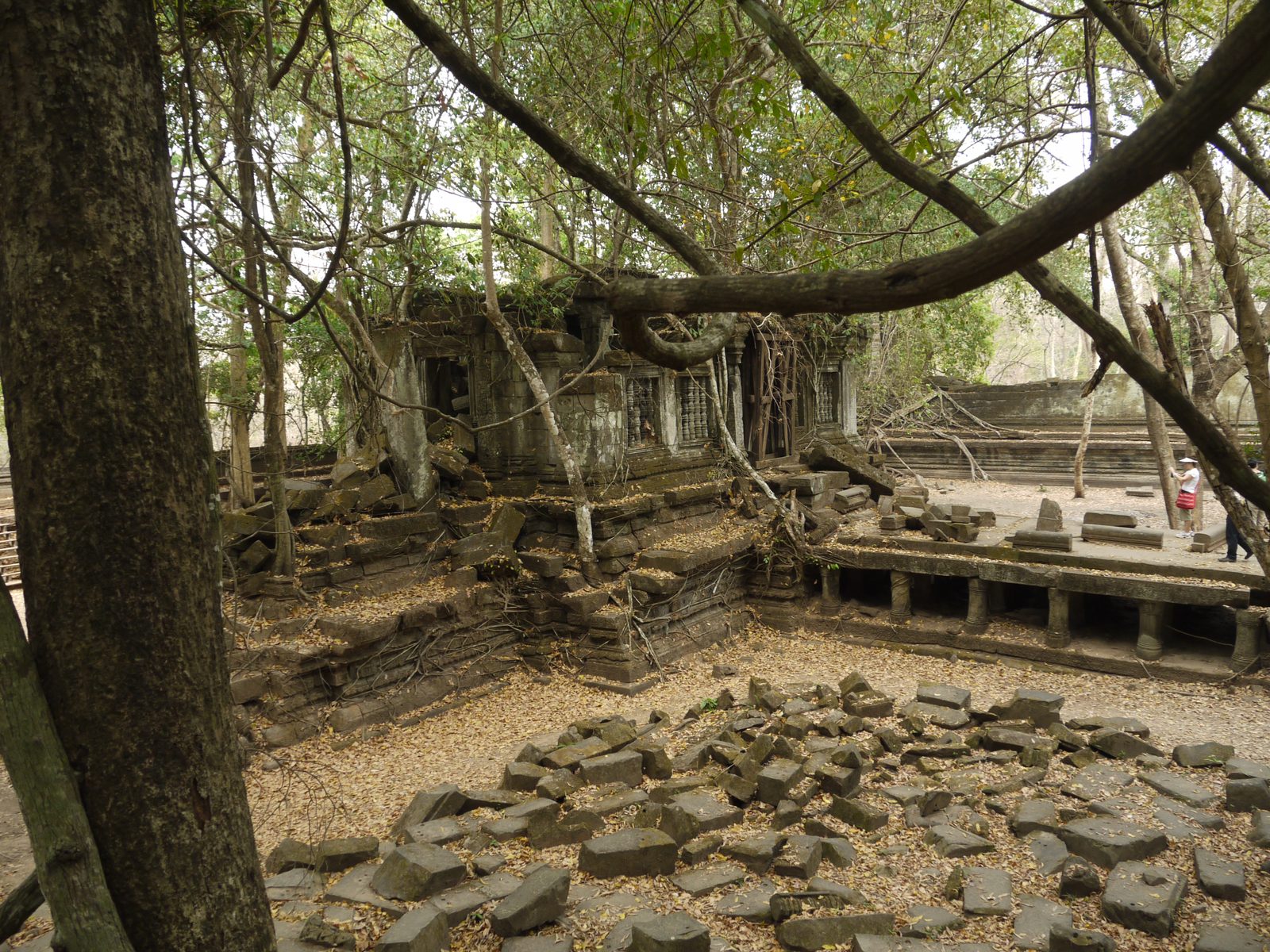 Overgrown temple ruins with fallen stone blocks